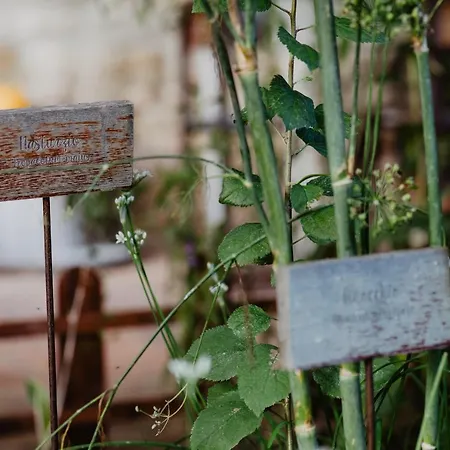 Alloggio per agriturismo Abbazia Sette Frati Fratres *