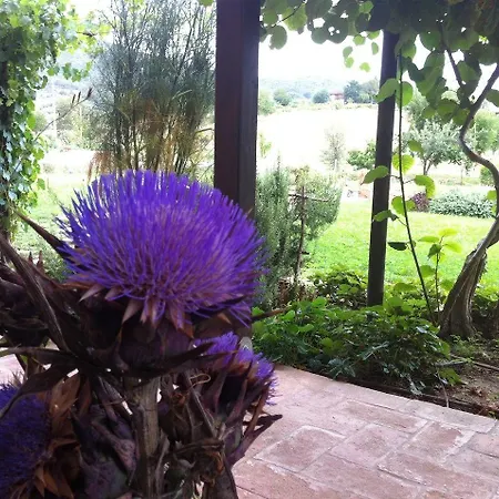 Abbazia Sette Frati Agriturismo Fratres Farm stay Pietrafitta (Perugia)