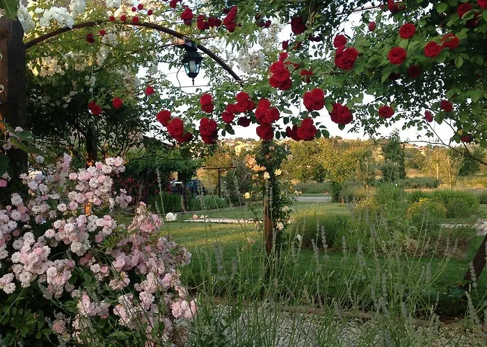 Abbazia Sette Frati Fratres *