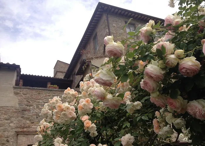 Abbazia Sette Frati Fratres Gospodarstwo agroturystyczne *